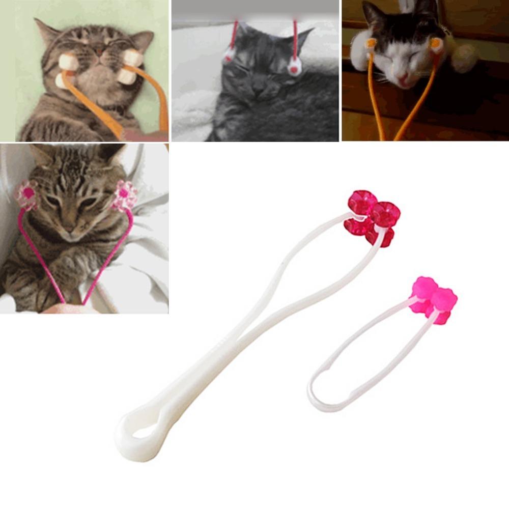Cat Massage Wheel Roller