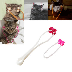 Cat Massage Wheel Roller