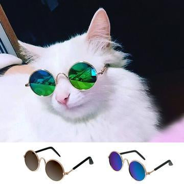 Fabulous Sunglasses For Your Cat