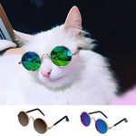 Fabulous Sunglasses For Your Cat